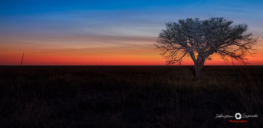 Botswana sunset tk web