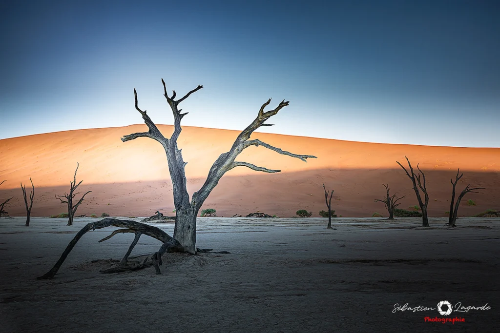 Namibie 709 tk web tk web